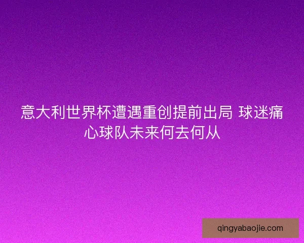意大利世界杯遭遇重创提前出局 球迷痛心球队未来何去何从